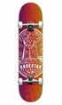 Darkstar Warrior Prem FP Youth Skateboard Multi 7.375in